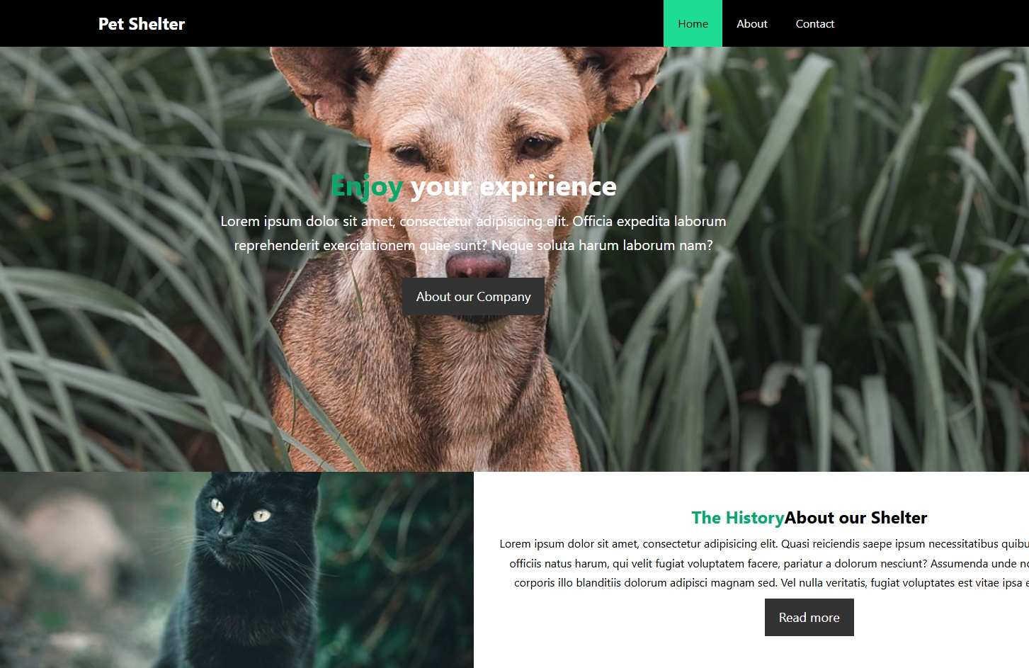 petshelter